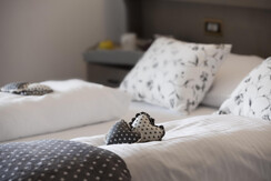 d IMG_8255 d IMG_8255