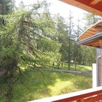Foto di CAMERA DEL BOSCO