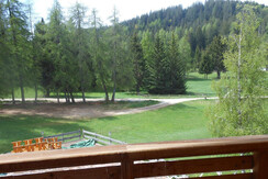 vista dalla finestra vista dalla finestra