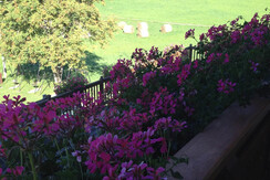 2016-08-27 09.30.34 2016-08-27 09.30.34