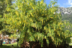 2016-06-22 16.49.42 2016-06-22 16.49.42