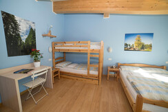 Camera Gufo Camera Gufo