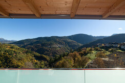 Vista Camera Gufo Vista Camera Gufo