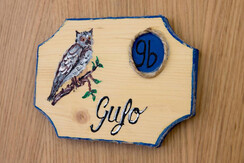 Camera Gufo Camera Gufo