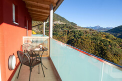 Vista Picchio Vista Picchio