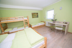 Camera Quercia Camera Quercia