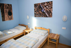 Camera Rondine Camera Rondine