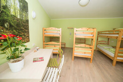 Camera Faggio Camera Faggio