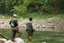 Pescatori Avisio Pescatori Avisio