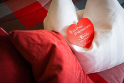 Hotel-La-Betulla-2015-Web-1013