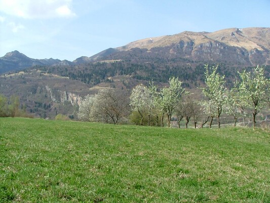 panorama2