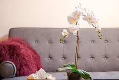 Puk_0004695_WEB Puk_0004695_WEB