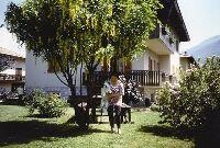 maffei trentini loredana maffei trentini loredana