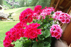 Mas-de-la-Bolp-Val-di-Rabbi-Trentino-Mansarda-Gigl Mas-de-la-Bolp-Val-di-Rabbi-Trentino-Mansarda-Gigl