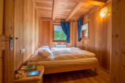 Mas de la Bolp, Val di Rabbi, Trentino, Genzianell Mas de la Bolp, Val di Rabbi, Trentino, Genzianell