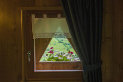 Mas de la Bolp, Val di Rabbi, Trentino, Genzianell Mas de la Bolp, Val di Rabbi, Trentino, Genzianell