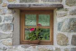 Mas de la Bolp, Val di Rabbi, Trentino, Anemone (1 Mas de la Bolp, Val di Rabbi, Trentino, Anemone (1