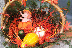 Mas de la Bolp, Val di Rabbi, Trentino, Genzianell Mas de la Bolp, Val di Rabbi, Trentino, Genzianell