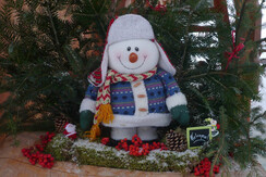 Mas de la Bolp, Val di Rabbi, Trentino, Genzianell Mas de la Bolp, Val di Rabbi, Trentino, Genzianell