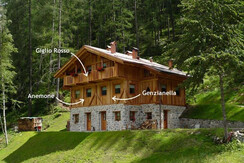 MAS DE LA BOLP, TRENTINO, APPARTAMENTI MAS DE LA BOLP, TRENTINO, APPARTAMENTI