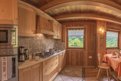 Mas de la Bolp, Val di Rabbi, Trentino, Anemone (1 Mas de la Bolp, Val di Rabbi, Trentino, Anemone (1