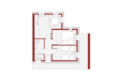 Anemone_piantina_1200 Anemone_piantina_1200