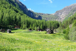 31c6098b-f039-4eeb-a40e-f420167c747a.c10 31c6098b-f039-4eeb-a40e-f420167c747a.c10