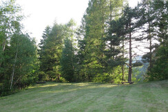 il prato vicino alla baita a giugno il prato vicino alla baita a giugno