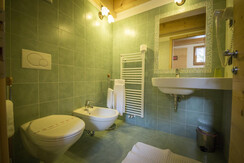 Wohnung Soldanella: Badezimmer mit Dusche Wohnung Soldanella: Badezimmer mit Dusche
