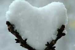 Cuore neve 1