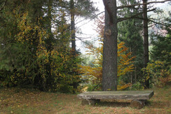 la panchina nel prato ai michei in autunno la panchina nel prato ai michei in autunno