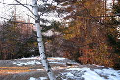 18 genn. il prato al tramonto 18 genn. il prato al tramonto