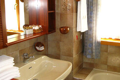 appartamenti campiglio_al mistrin_bagno3