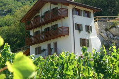 maso Salim maso Salim