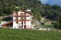 Maso Salim Maso Salim