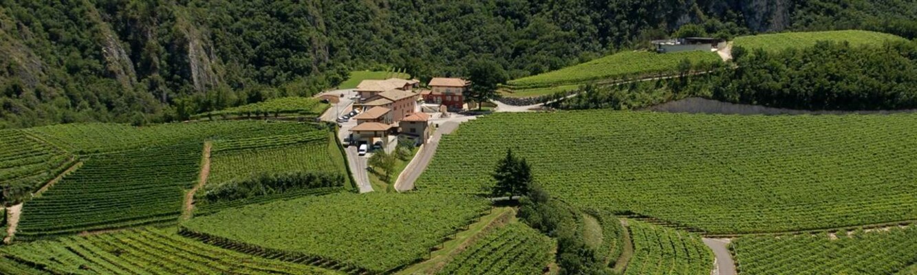 Agritur Villa Warth