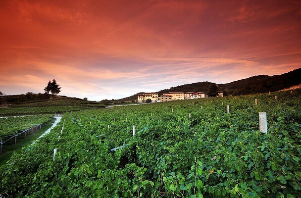 Agritur Villa Warth Panorama