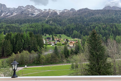 acatinaccio_2021 (1) acatinaccio_2021 (1)