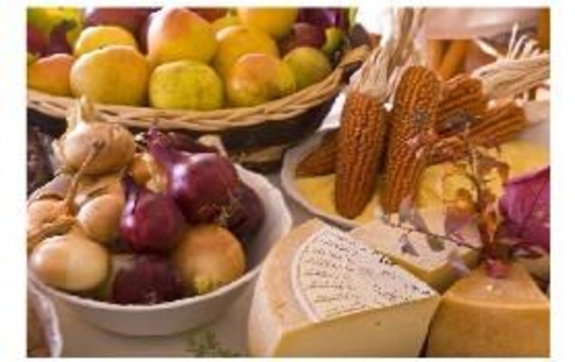 NERINA Homepage Image #