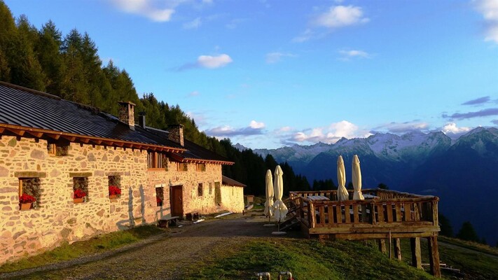 Nestalp_malga_campo_val_di_peio