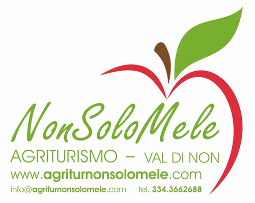 Logo_NonSoloMele_1