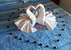 Rifugio_orso_bruno_camera2 Rifugio_orso_bruno_camera2