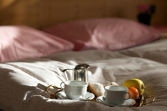 Hotel Panorama Panchià colazione in camera Hotel Panorama Panchià colazione in camera