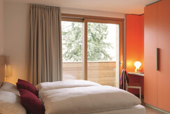 Viola superior classic