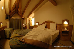 Camera Betulla Camera Betulla