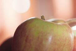 chalet Nocciolo_7526 (7) chalet Nocciolo_7526 (7)