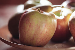 chalet Nocciolo_7526 (8) chalet Nocciolo_7526 (8)