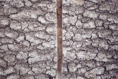 chalet Nocciolo_7526 (27) chalet Nocciolo_7526 (27)