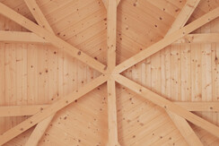 Soldanella_0032-HDR (5) Soldanella_0032-HDR (5)