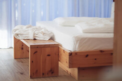 Soldanella_0032-HDR (10) Soldanella_0032-HDR (10)